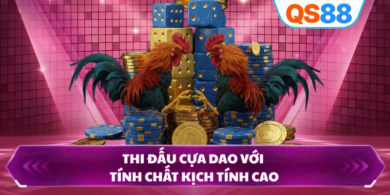Thi đấu cựa dao với tính chất kịch tính cao